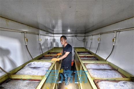 Уǧз뺣5Сʱã7Сʱۿ