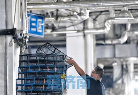 Уǧз뺣5Сʱã7Сʱۿ